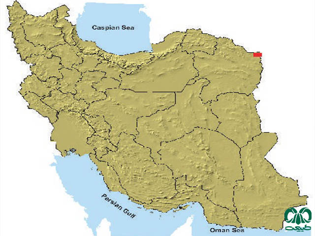 سنجاب ناخن‌ دراز در ایران