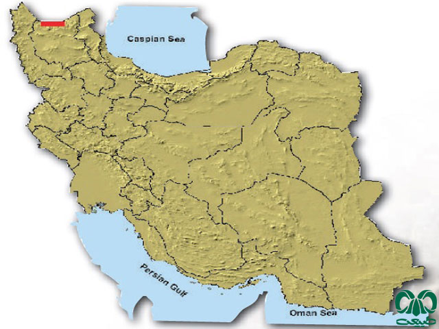 فراوانی گونه حشره خور کوچک در ایران حشره خور کوچک در ایران