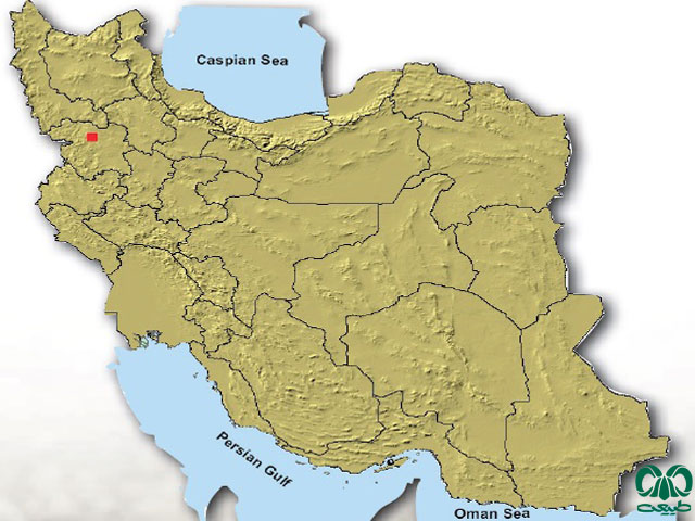 حفار ایرانی در ایران