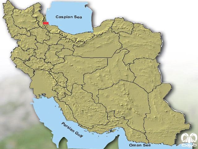 حفار قفقازی در ایران