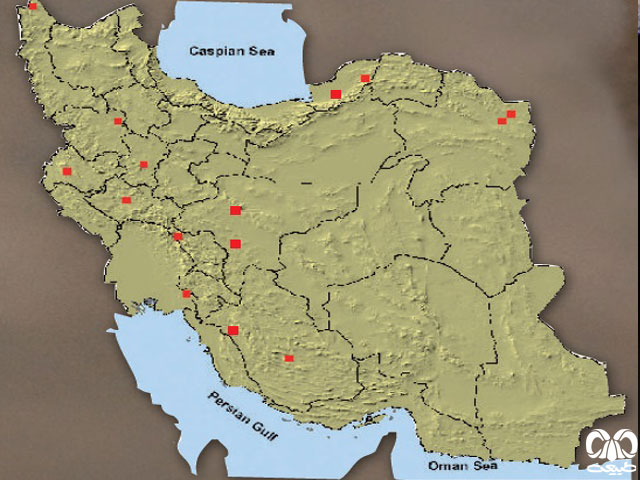 خفاش نعل اسبی مدیترانه‌ای در ایران