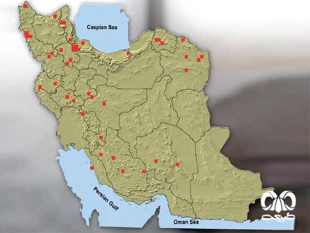 خفاش نعل اسبی بزرگ در ایران