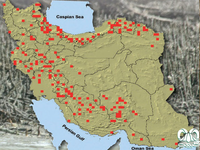 گراز در ایران