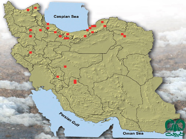 رودک در ایران