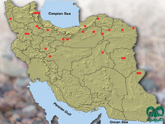 زرده بر در ایران