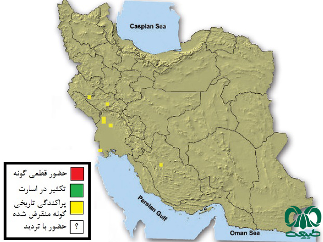 پراکندگی گسترده‌ای در ایران