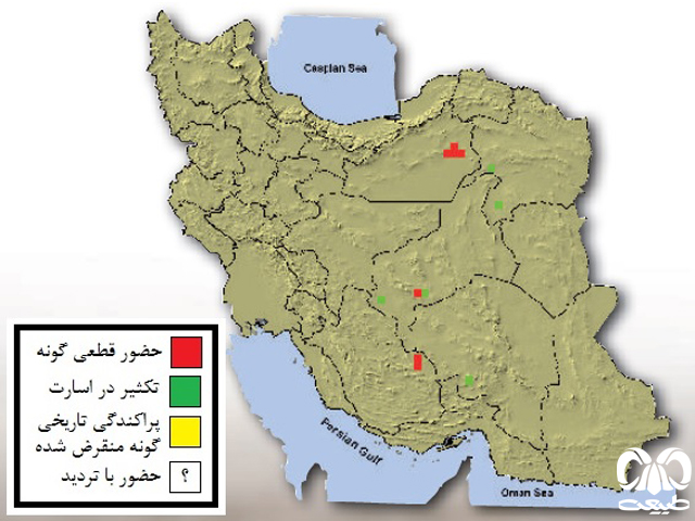 گور ایرانی در گذشته