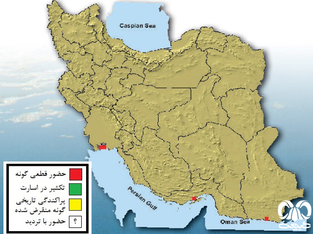 پراکندگی گاو دریایی در جهان، از خلیجفارس تا آفریقا پراکندگی گاو دریایی در جهان