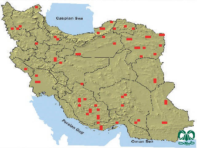  جرد لیبی در ایران