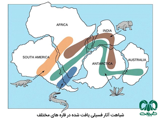 زمین ساخت ورقه ای 