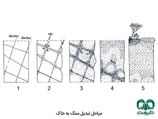 هوازدگی