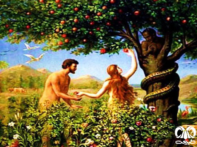 آدم و حوا 