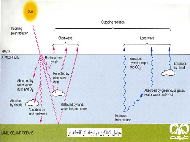 بخار آب همراه