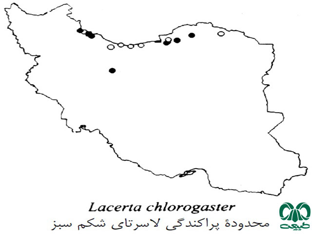 پراکندگی لاسرتا