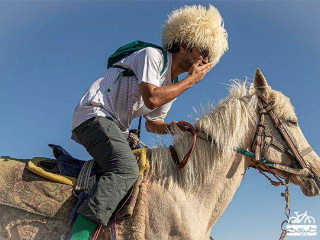 اسب‌های ترکمن