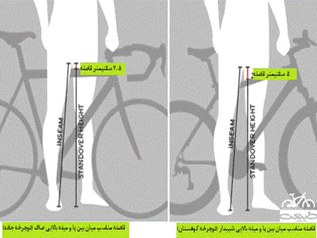 اندازه داخلی پا