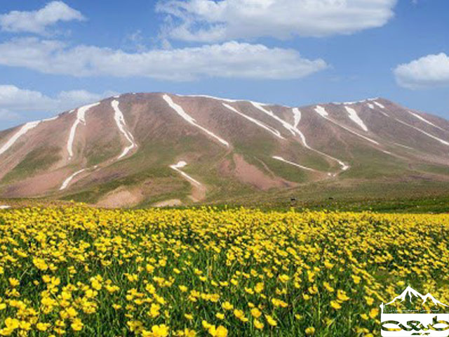 سفر کوهپیمایی 