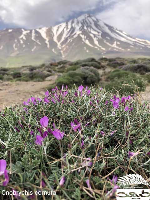 محافظ خاک