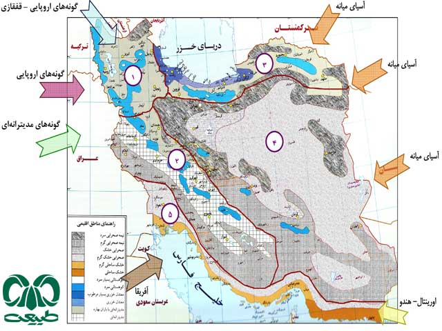 پروانه‌نگری ایران