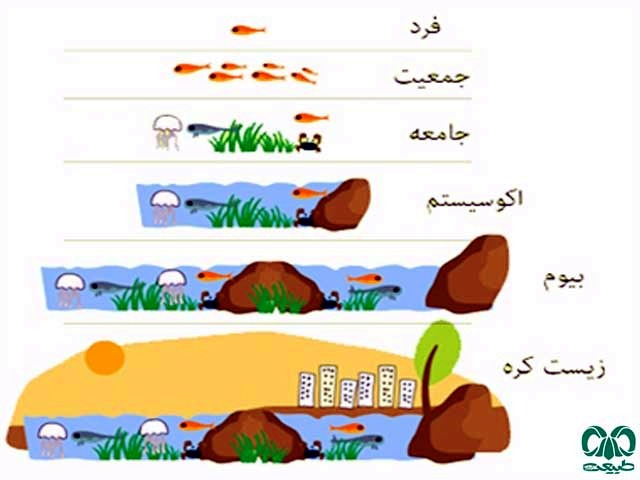 زیست‌کره 