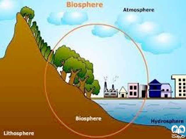 بیوسفر
