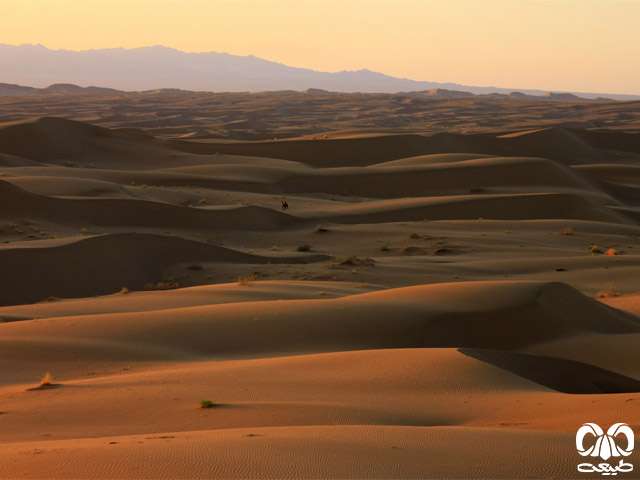 بیابان