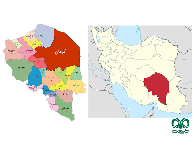 استان کرمان