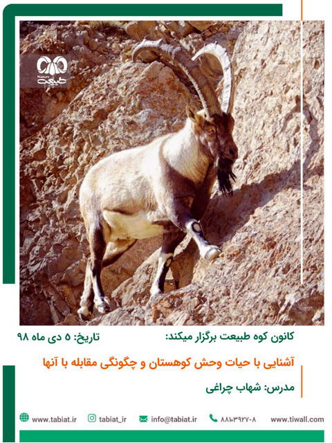 کارگاه حیات وحش کوهستان