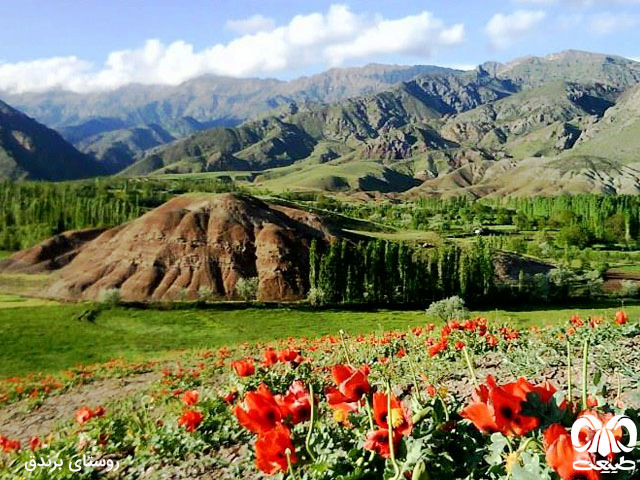 روستای برندق