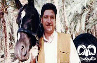 علی منصوری‎راد