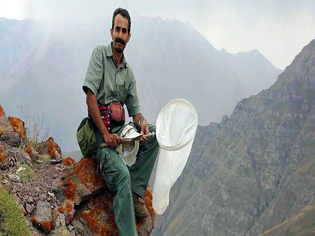 پروانه های ایران علیرضا نادری