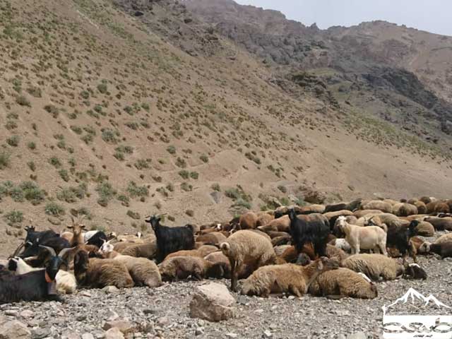 منطقه کمانکوه