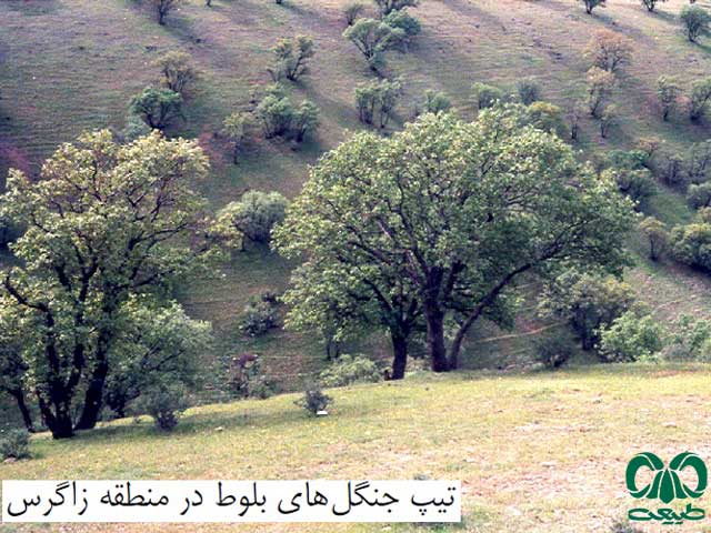 زیستگاه‎های پروانه‎ها