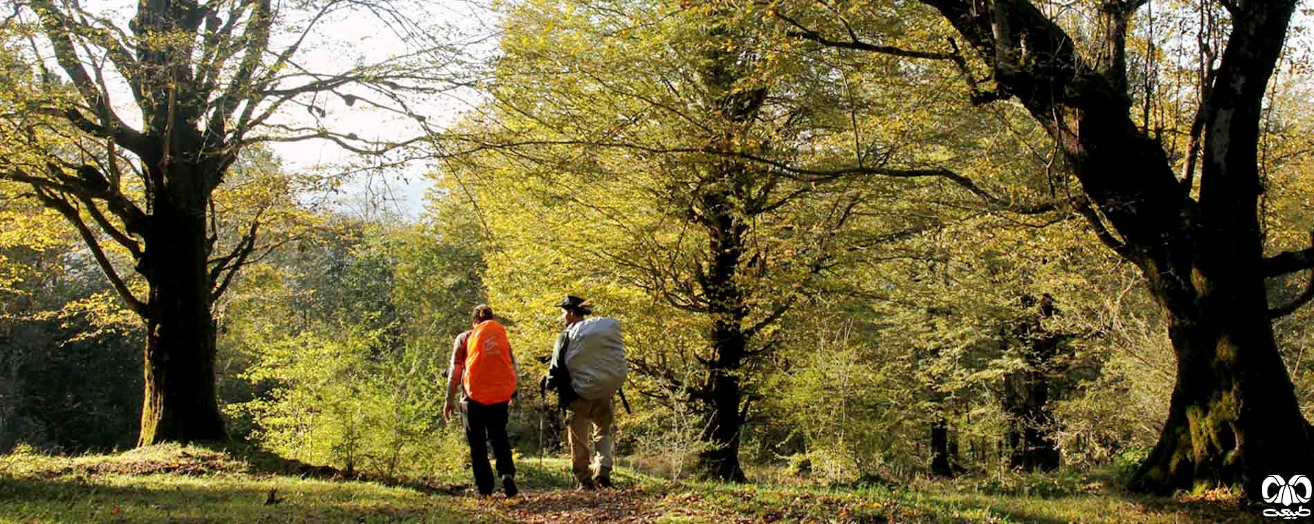 راهنمایان طبیعت گردی