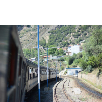 شیرگاه