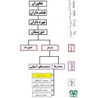 سمندر آتشین