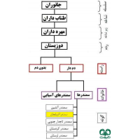 سمندر کوهستانی آذربایجان