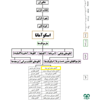 گونه آگامای صخره‌ای سیاه