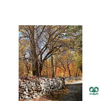 جاذبه هاس استان همدان