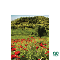 جاذبه های دیدنی استان چهارمحال و بختیاری