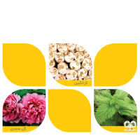 جاذبه هابی استان اصفهان