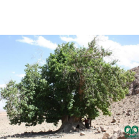 جادبه های استان اردبیل