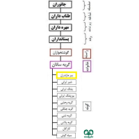 گونه ببر مازندران