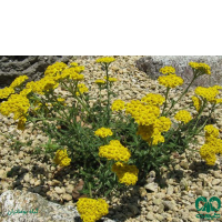 جادبه های استان اردبیل