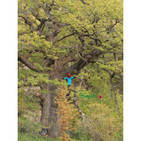 ییلاق جهان نما و روستای زیارت مهر 98