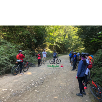 دوچرخه سواری در جنگل سنگده