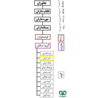 گونه شیر ایرانی