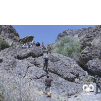 گالری کارگاه بقا در کوهستان