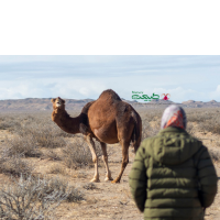 سفر ترکیبی کویر و روستای قلعه بالا