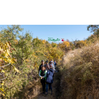 سفر ترکیبی کویر و روستای قلعه بالا